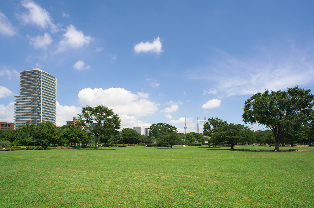 Kiba Park