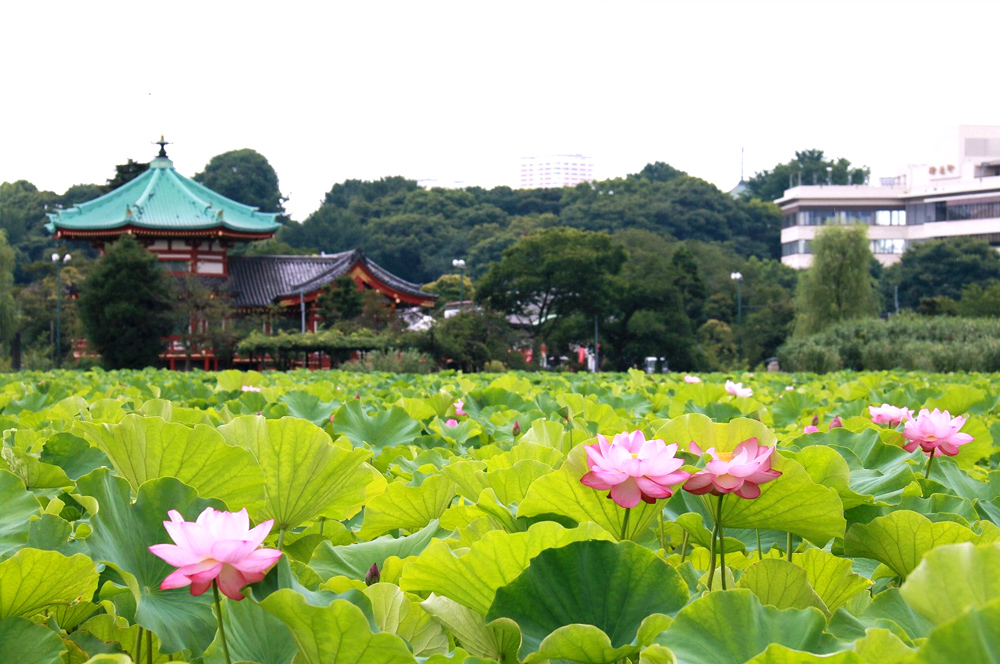 Ueno Park