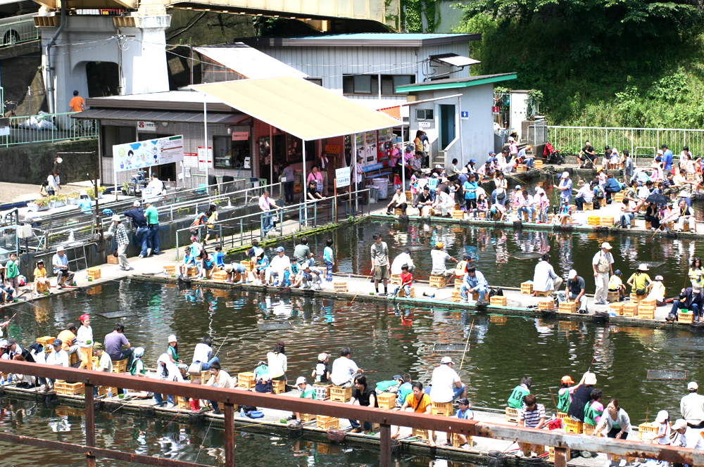 Ichigaya Fish Center