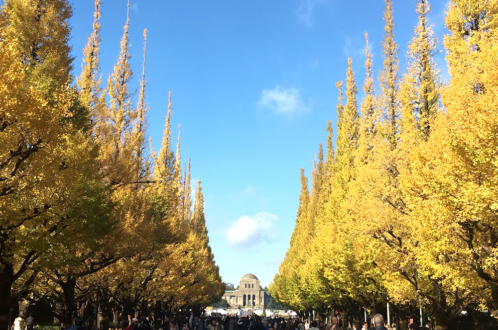 Jingu Gaien Ginkgo Avenue