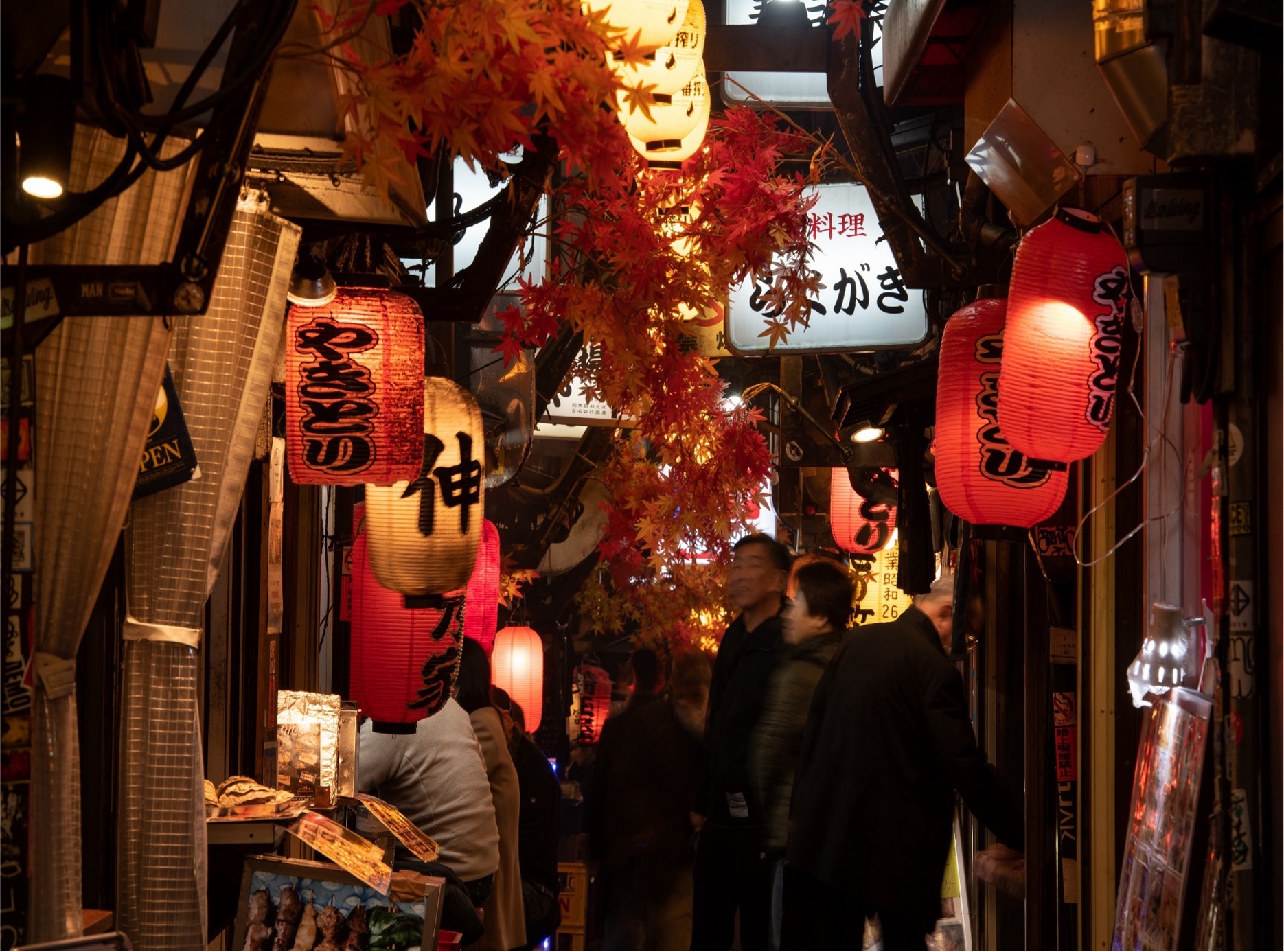 Shinjuku West Exit Omoide Yokocho